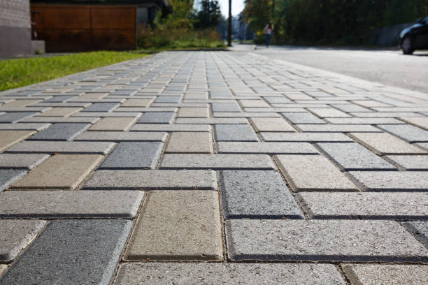 Best Professional Driveway Pavers  in Trenton, TN