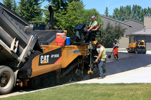 Best Driveway Paver Repair  in Trenton, TN
