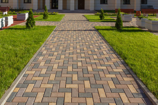 Best Driveway Repair Near Me  in Trenton, TN